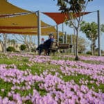 פארק הכט (צילום: שרון לייבל)