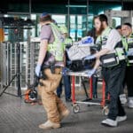 זק״א מפנים גופות הרוגי פיגוע בחיפה (צילום: שרון לייבל)