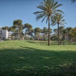 גן בית העם קריית חיים (צילום: שרון לייבל)