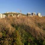 איזור לא בנוי בשכונת נאות פרס (צילום: שרון לייבל)