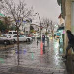 יום גשם במרכז הכרמל (צילום: שרון לייבל)