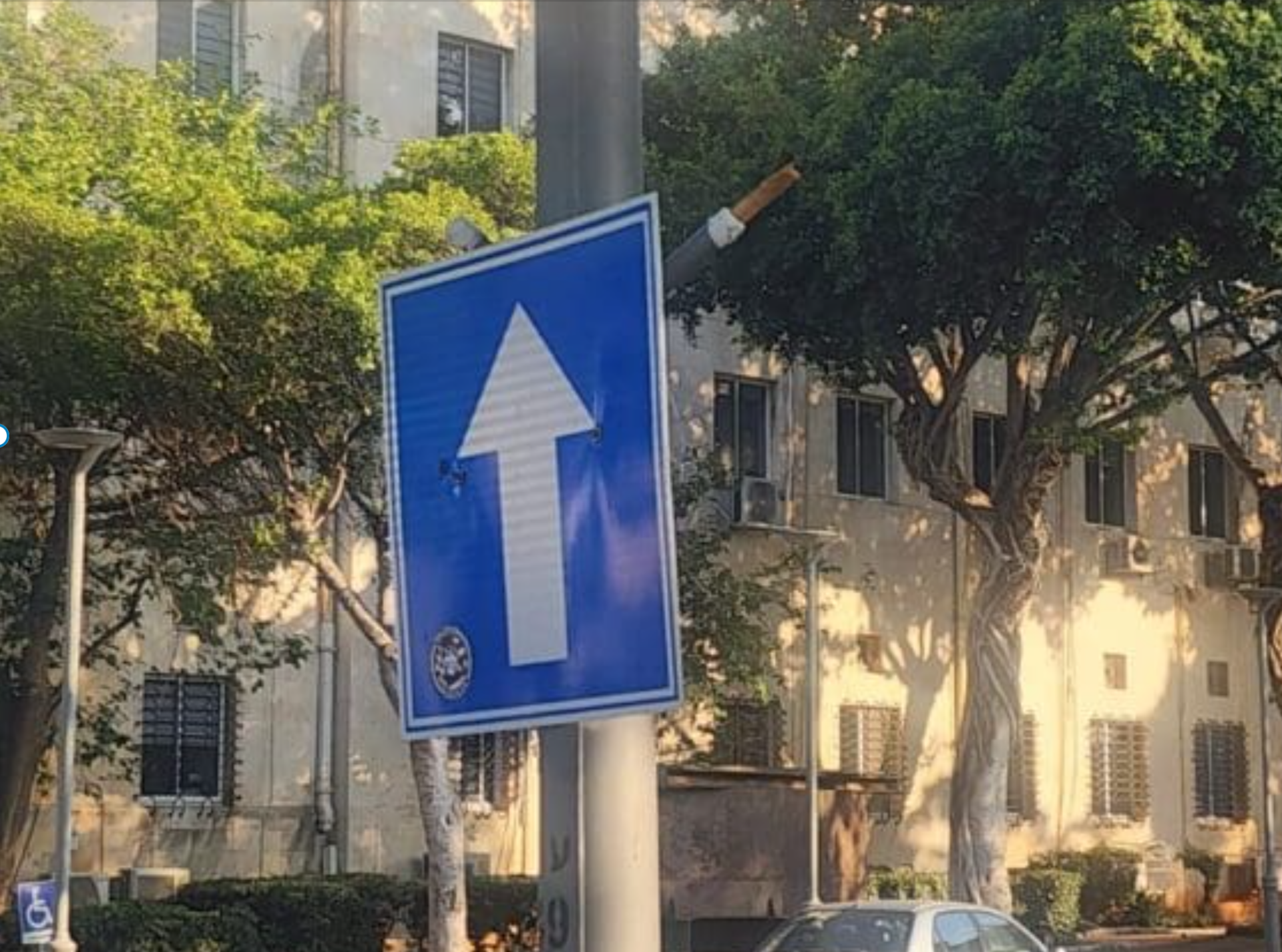 השחתת דגלי הגאווה בשכונת הדר (צילום: עריית חיפה)
