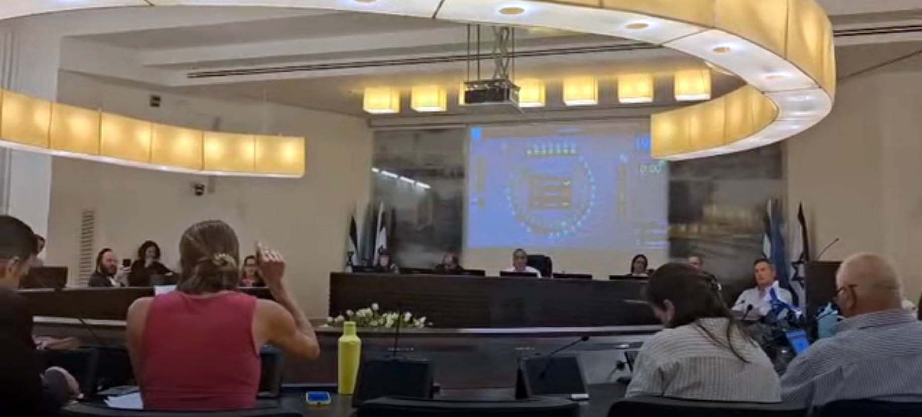 סאלי עבד הודחה מהקואליציה העירונית העירונית בחיפה (צילום: סמר עודה כרנתינג'י)