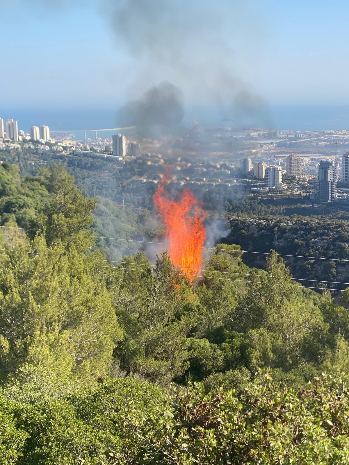 שרפה כתוצאה משברי אמל''ח שטח פתוח (צילום: כבאות והצלה)