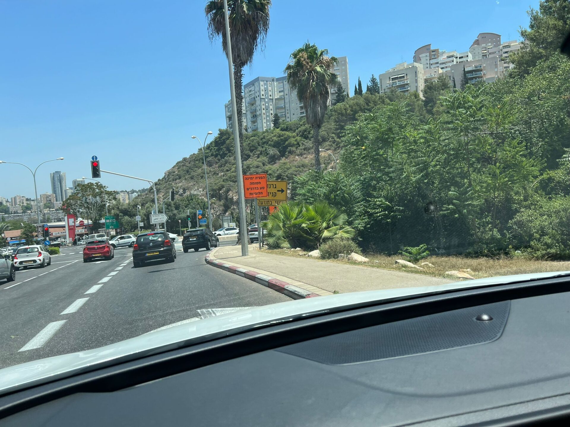 דרך רופין (צילום:אורי שרון)