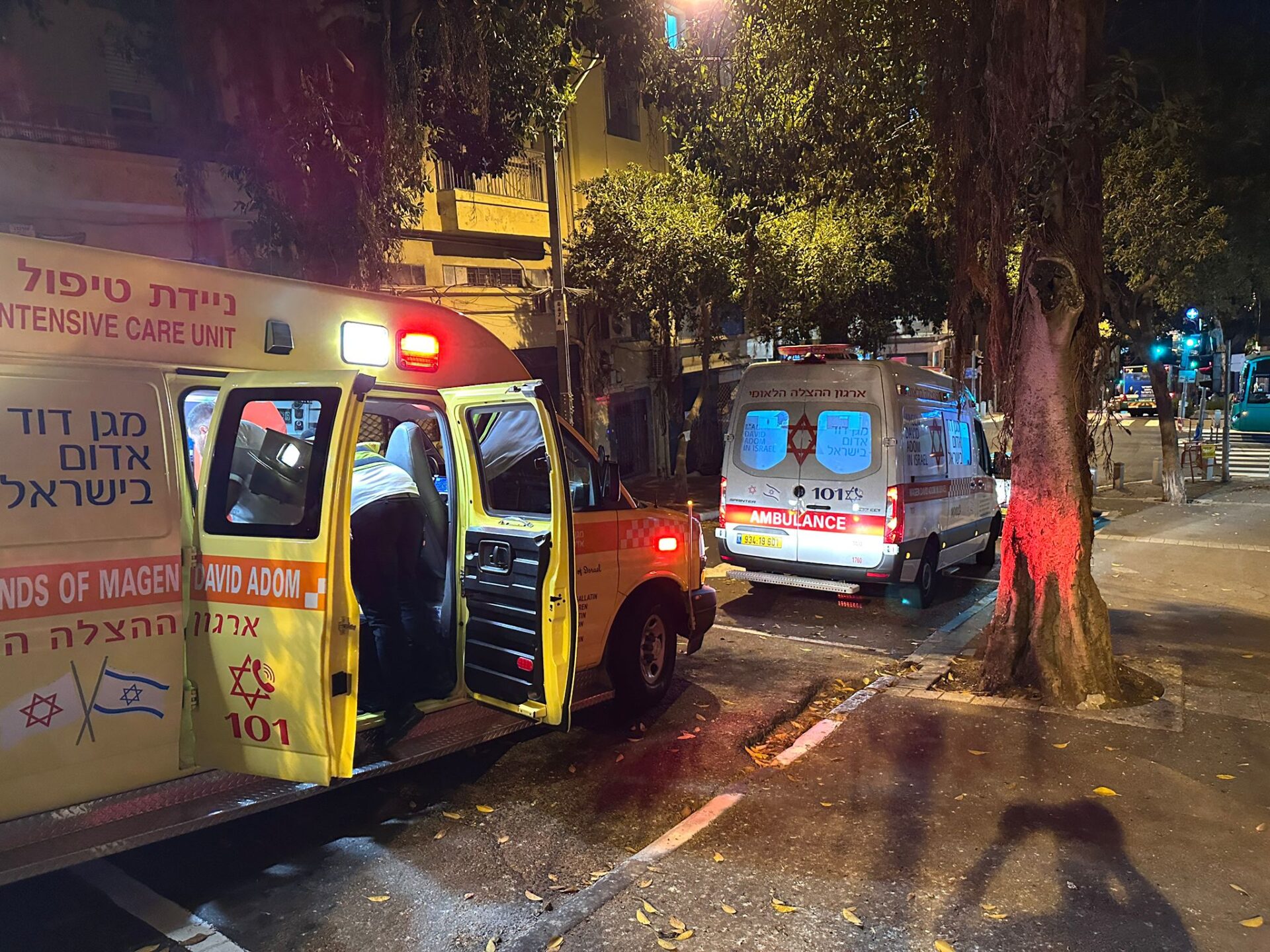 ניידת טיפול נמרץ (צילום: ארגון הצלה)