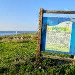 שפך נחל עליה בטיילת שקמונה (צילום: שרון לייבל)