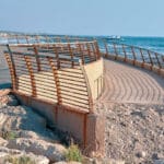 ירידה מטיילת שקמונה לחוף הים (צילום: שרון לייבל)