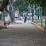 שביל כניסה לטכניון הישן (מדעטק) (צילום: שרון לייבל)