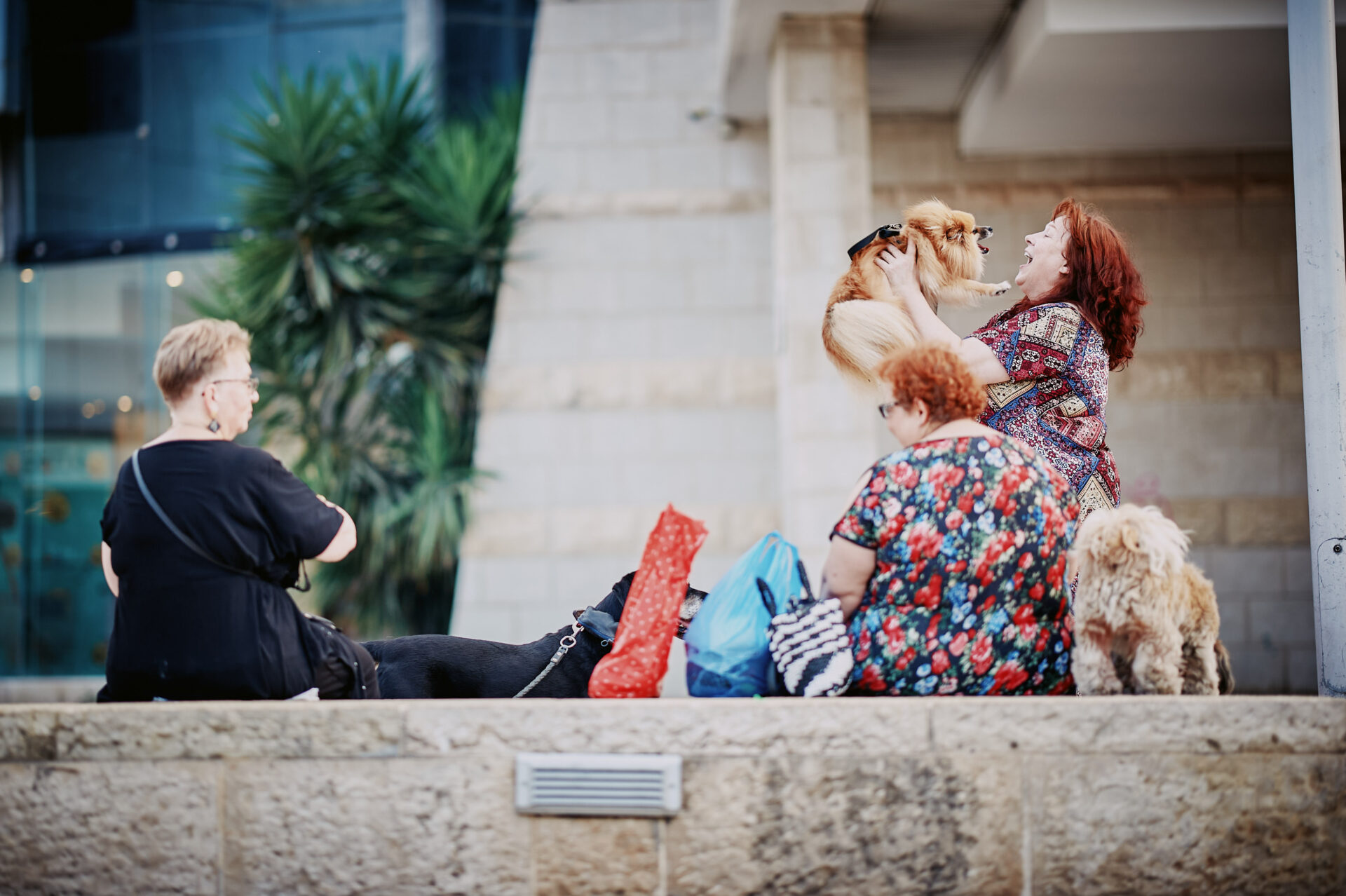 נשים וכלבים ברחבת התיאטרון העירוני (צילום: שרון לייבל)