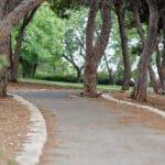 גן ציבורי בחיפה (צילום: שרון לייבל)