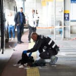 פיגוע בתחנה המרכזית בחיפה מרץ 2025 (צילום: שרון לייבל)