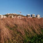 שטח ריק ואתר בנייה בנאות פרס (צילום: שרון לייבל)