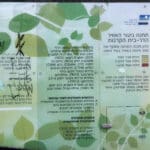 תחנת ניטור אוויר בית הקרנות (צילום: שרון לייבל)