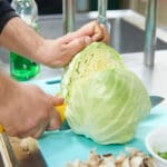 חותכים כרוב לבן (צילום: שרון לייבל)