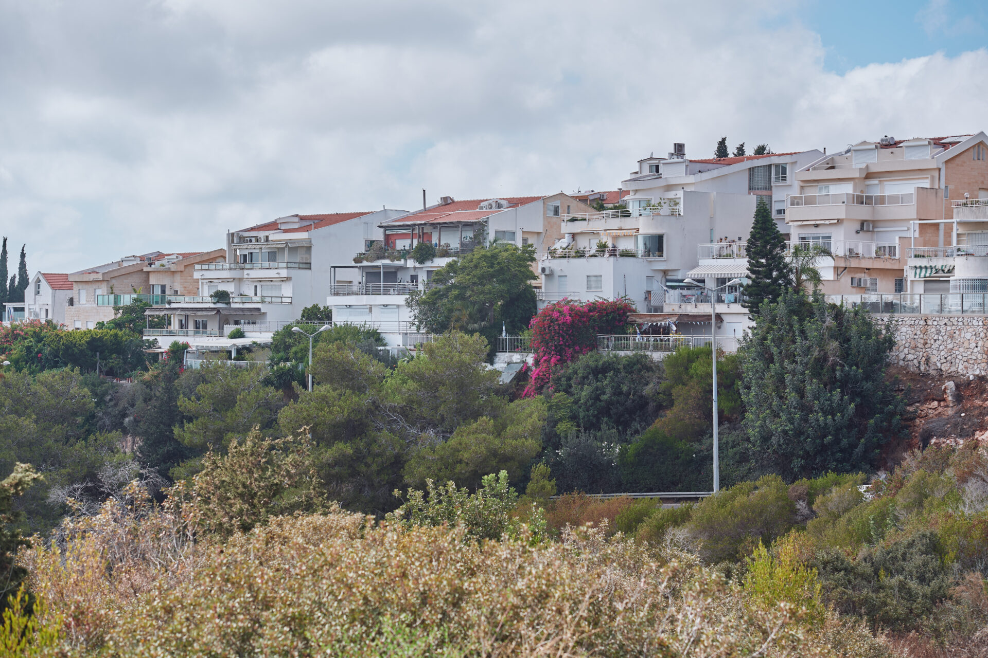 רמת אשכול מכיוון דרך פרויד (צילום: שרון לייבל)