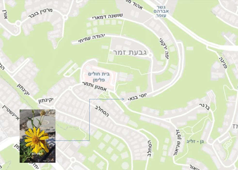 מפגש עם כנפון זהוב • המפה באדיבות מרכז מפות ישראל