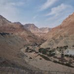 מדבר יהודה ושמורת עין גדי (צילום: שרון לייבל)