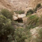 מדבר יהודה ושמורת עין גדי (צילום: שרון לייבל)