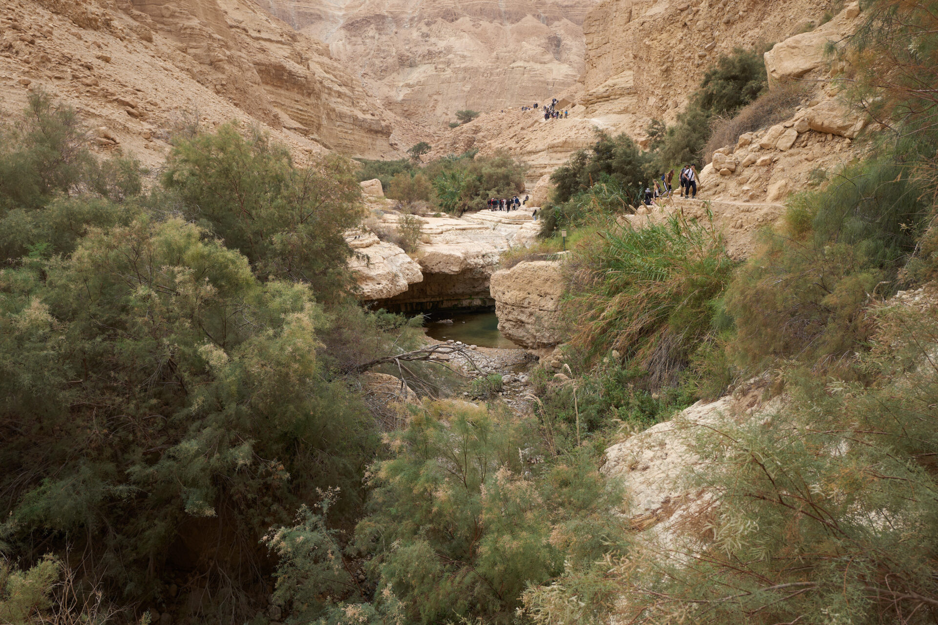 מדבר יהודה ושמורת עין גדי (צילום: שרון לייבל)
