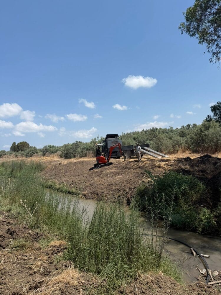השבת צומח מקומי וייחודי לנחל הקישון (צילום: רשות נחל הקישון)