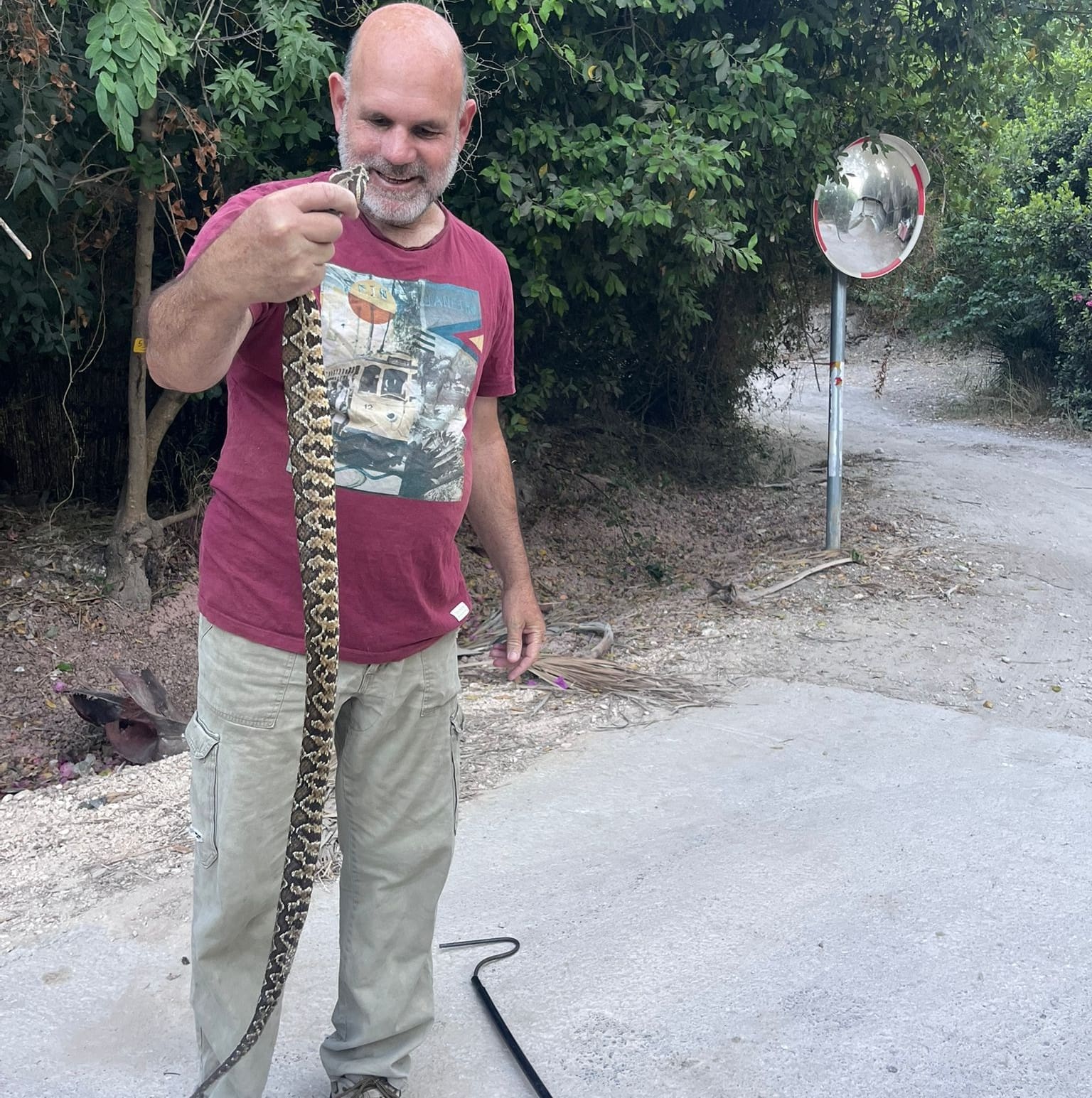 לוכד הנחשים (צילום: דגן ארז)