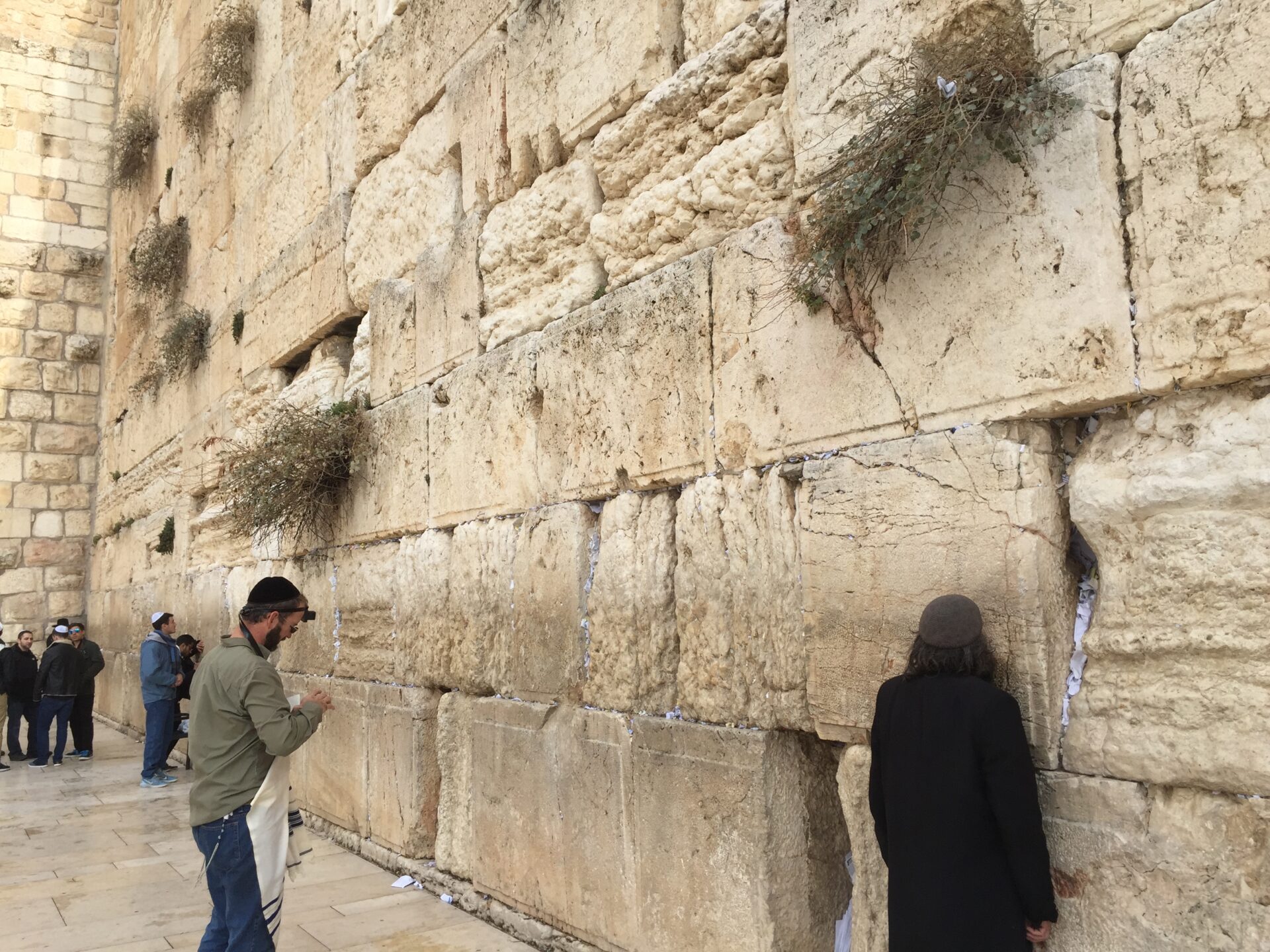 הכותל המערבי (צילום - ירון כרמי)