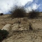 הכותל המערבי (צילום – ירון כרמי)