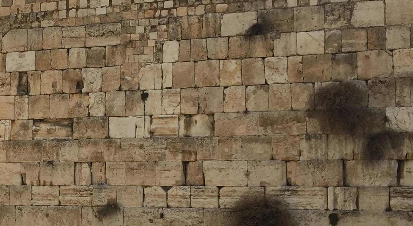 הכותל המערבי (צילום - ירון כרמי)