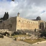 הר הבית עתיקות עיר דוד (צילום: ירון כרמי)