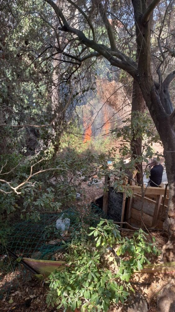 שריפה בשטח פתוח בחיפה בואדי בין רחוב קדימה-לילך-פינסקי בחיפה - 15/8/25 (צילום: קוראי חי פה בשטח)