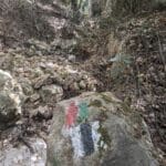 PXL_20250430_074236896