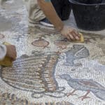 פסיפס שנמצאה בגן לאומי סוסיתא (צילום: ד"ר מיכאל איזנברג)