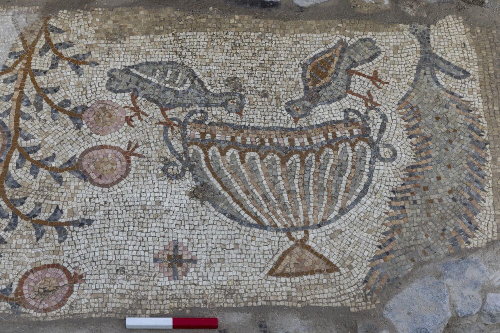 פסיפס שנמצאה בגן לאומי סוסיתא (צילום: אוניברסיטת חיפה)