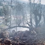שריפה בשטח פתוח – אילוסטרציה (צילום: שרון לייבל)