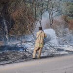 שריפה בשטח פתוח – אילוסטרציה (צילום: שרון לייבל)