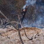 שריפה בשטח פתוח – אילוסטרציה (צילום: שרון לייבל)