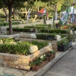 קברים – בית העלמין הצבאי – חיפה (צילום: ירון כרמי)