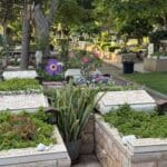 קברים – בית העלמין הצבאי – חיפה (צילום: ירון כרמי)