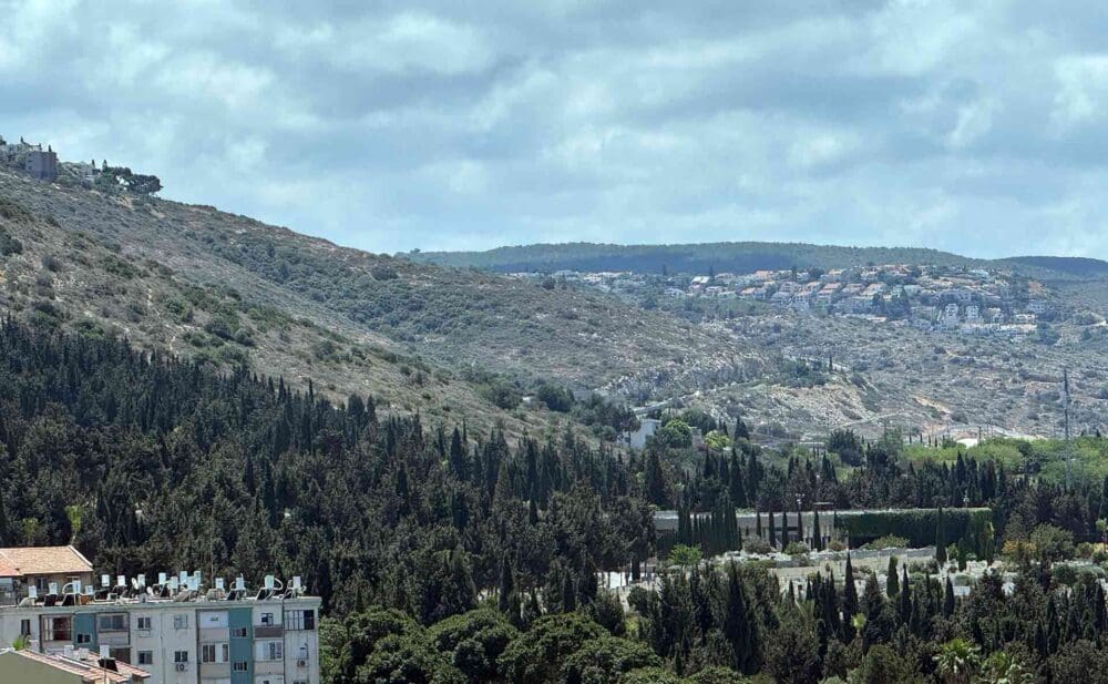 הכרמל המערבי - שטח ירוק ופראי בו מתוכננת שכונה מורדות לינקולן - חיפה (צילום: ירון כרמי)