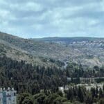 הכרמל המערבי – שטח ירוק ופראי בו מתוכננת שכונה מורדות לינקולן – חיפה (צילום: ירון כרמי)