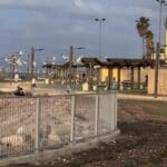 טיילת חולדה גורביץ' (צילום: ירון כרמי)