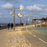 טיילת חולדה גורביץ' (צילום: ירון כרמי)