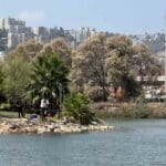 פארק הקישון (7)