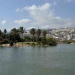 פארק הקישון (8)