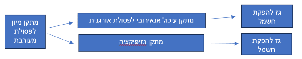תרשים עיבוד פסולת 1 (צילום: פנינה מדן)