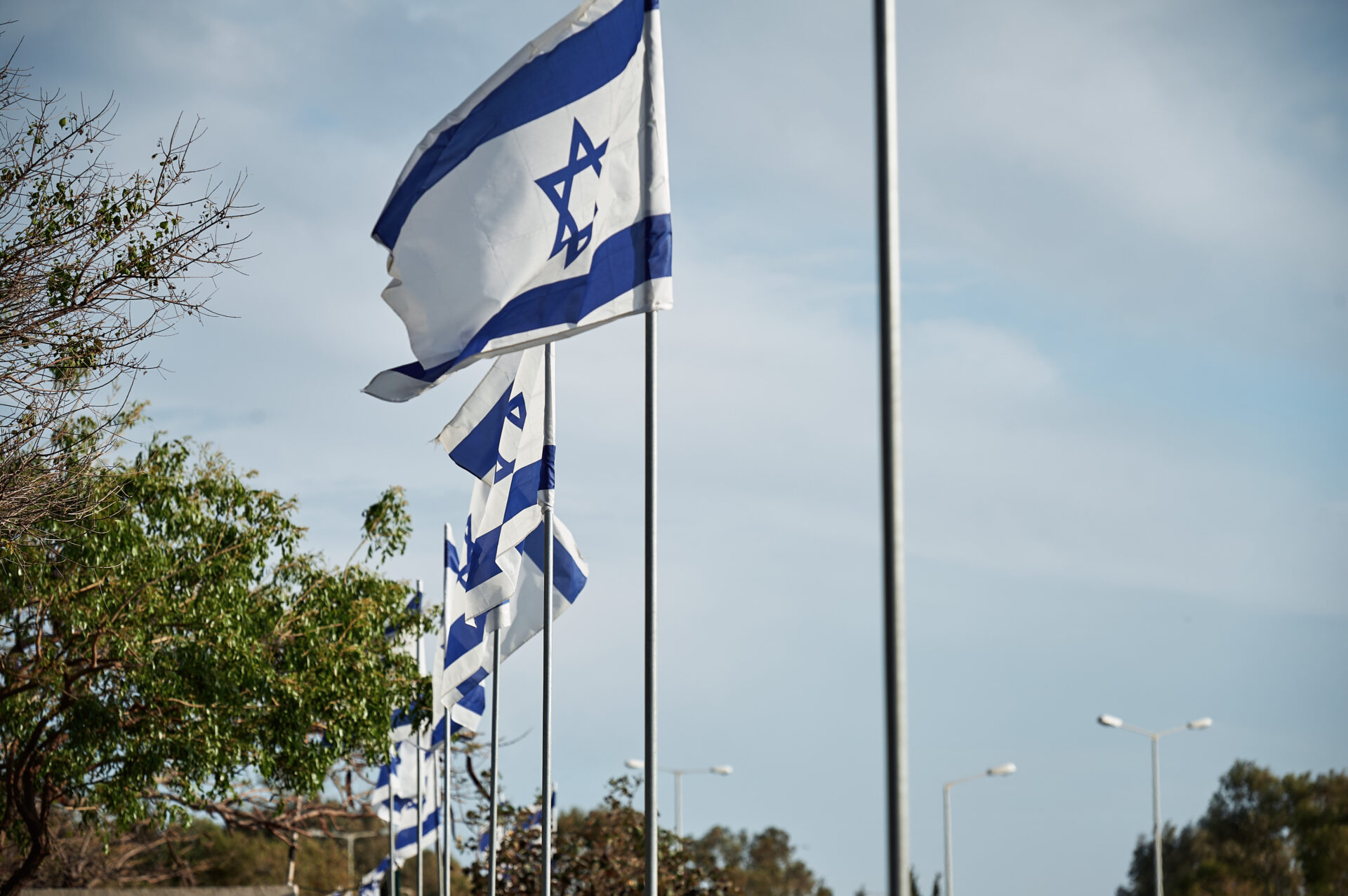 דגלי ישראל מתנופפים (צילום: שרון לייבל)