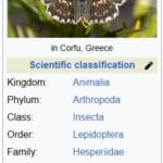 Taxonomy