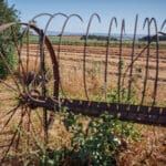 קציר בשדות עמק יזרעאל – אילוסטרציה (צילום: שרון לייבל)