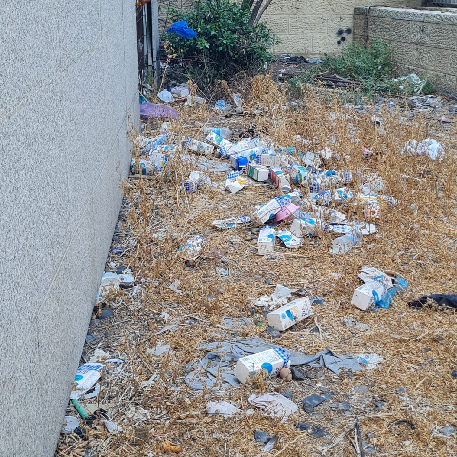 זוהמה ליד בניין מנהל ההנדסה (צילום: חי פה בשטח)